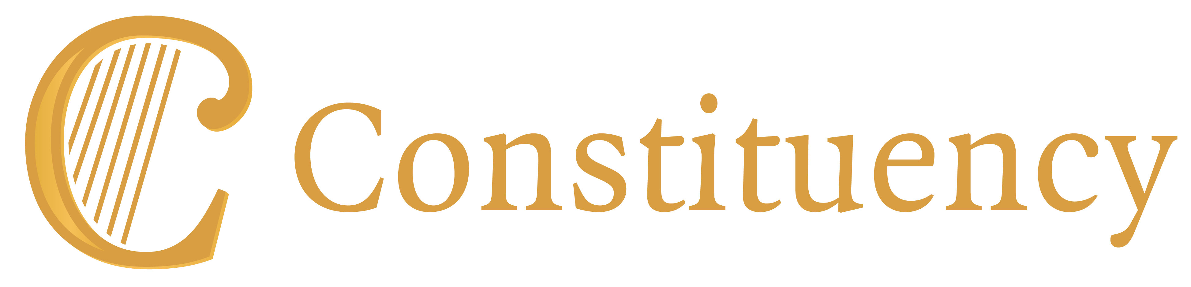 Constituency.ie Logo